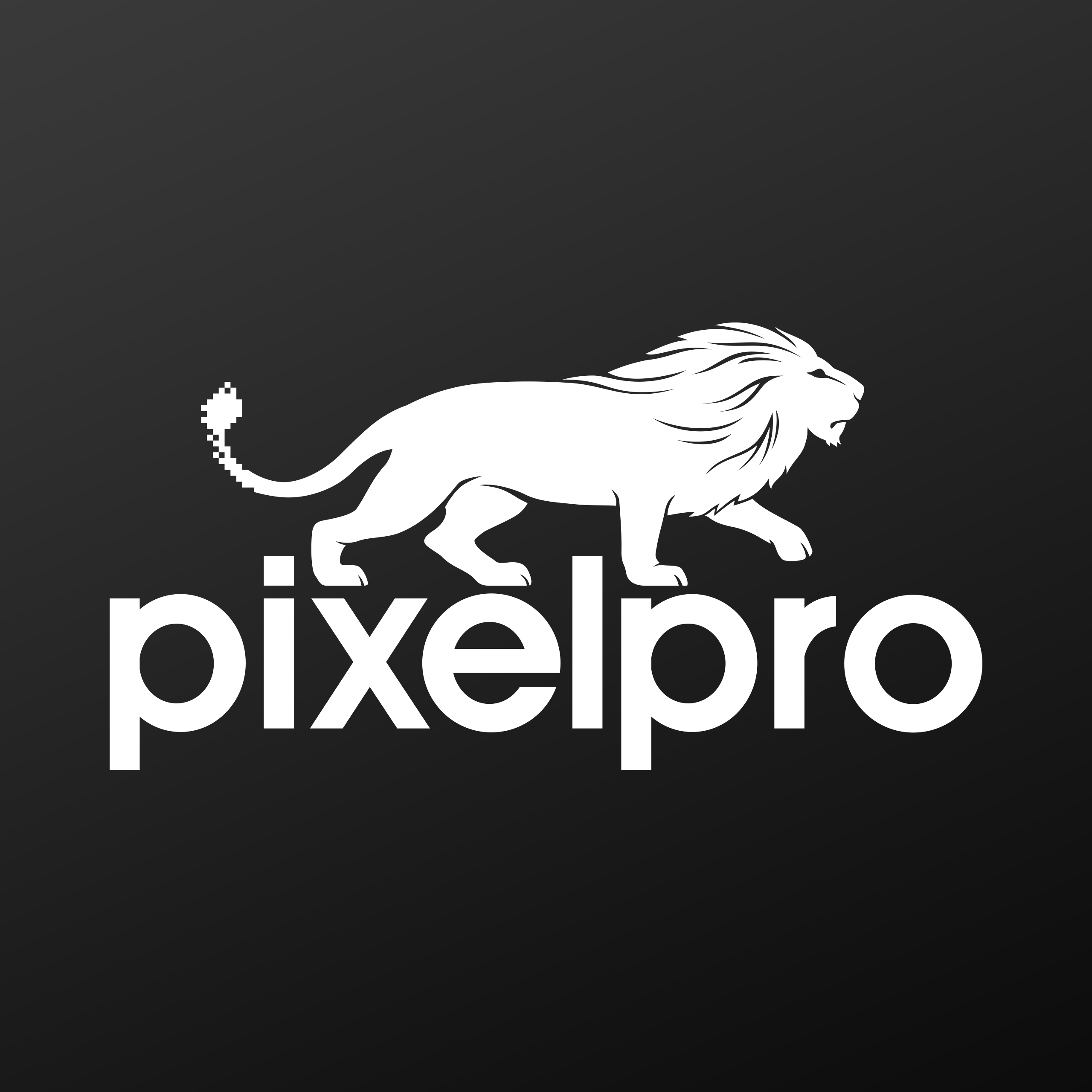 Pixelpro